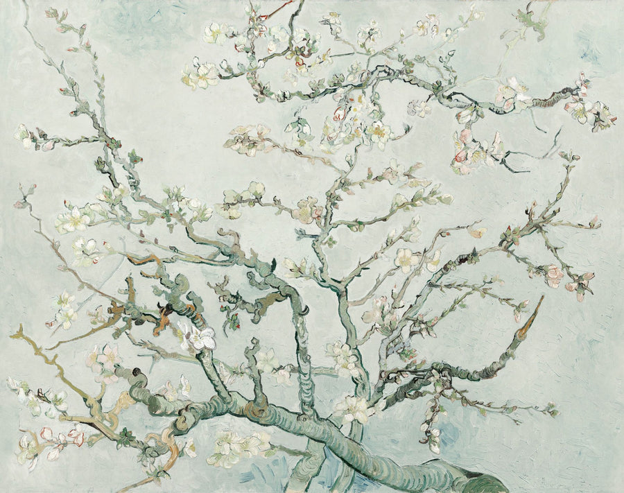 Floral Wallpaper Mural – Flower Wallpaper – Almond Blossom, Crisp Air printable artwork