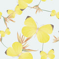 Lemon Butterfly Mural Wallpaper - pure wallpaper artwork