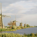 Riverside Windmills Mural Wallpaper - pure wallpaper artwork