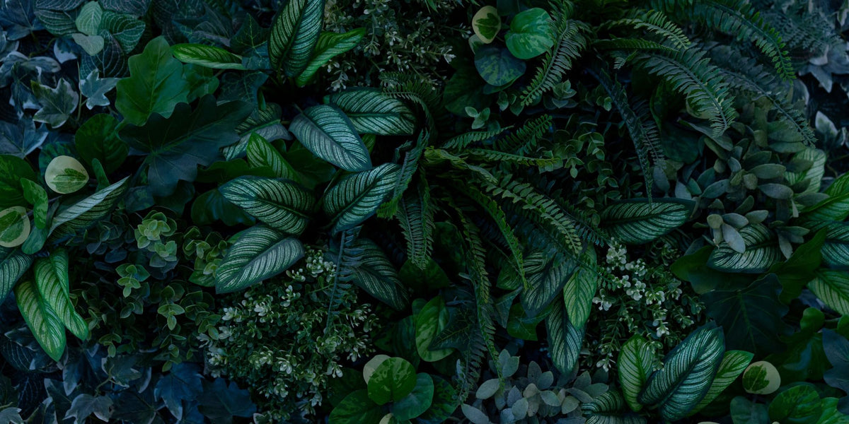 Magic Leaves Wall Mural Wallpaper - pure wallpaper artwork