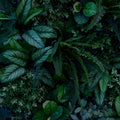 Magic Leaves Wall Mural Wallpaper - pure wallpaper artwork