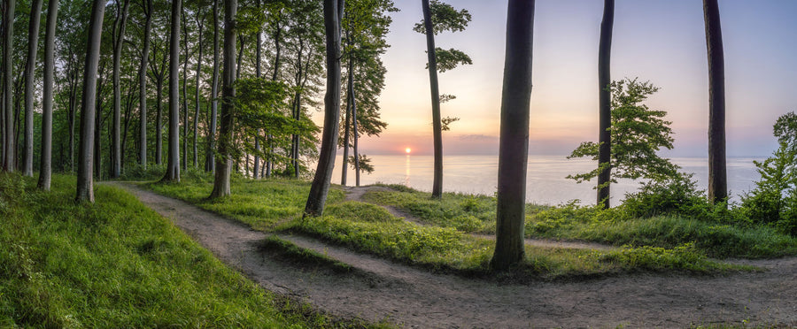 Trail Running Mural Wallpaper