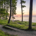 Trail Running Mural Wallpaper - pure wallpaper artwork