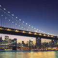 Illuminated Metropolis Bridge Mural Wallpaper - pure wallpaper artwork