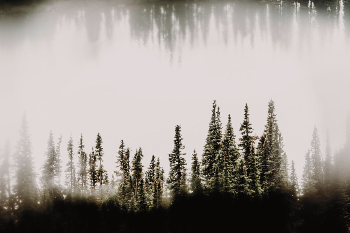 Waterwood Mural Wallpaper - pure wallpaper artwork