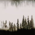 Waterwood Mural Wallpaper - pure wallpaper artwork