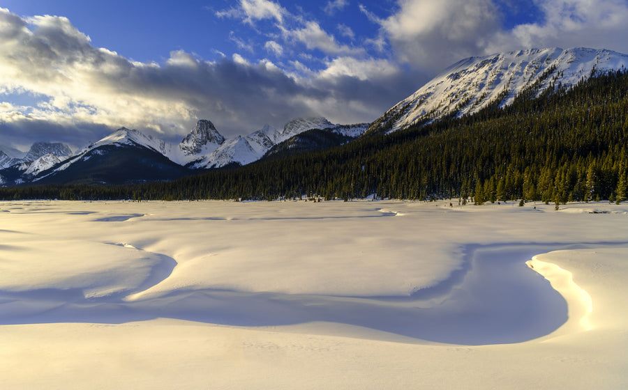 Snow Meadow Mural Wallpaper