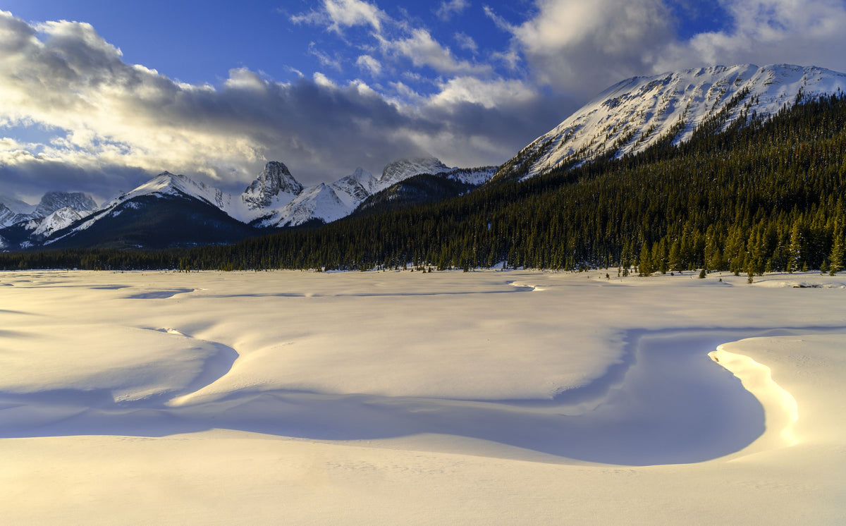 Snow Meadow Mural Wallpaper - pure wallpaper artwork
