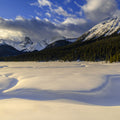 Snow Meadow Mural Wallpaper - pure wallpaper artwork