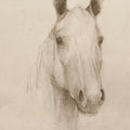 Romeo on Aged Paper Mural Wallpaper - pure wallpaper artwork