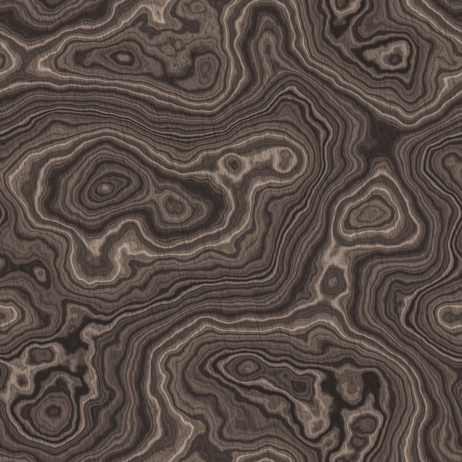 Root Wood, Slate Mural Wallpaper