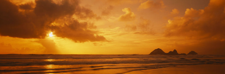 Amber Horizon, Mural Wallpaper