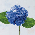 Bright Blue Hydrangea Mural Wallpaper - pure wallpaper artwork