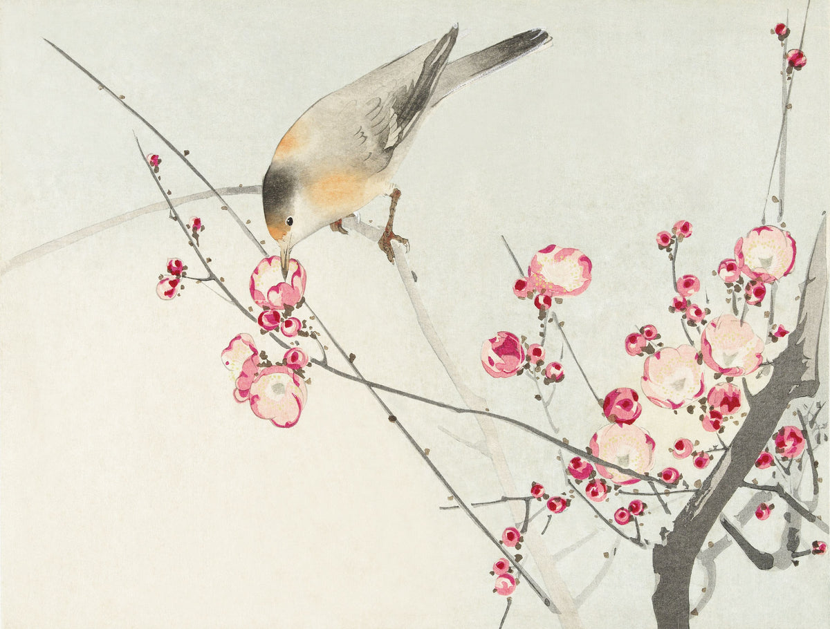 Songbird on Blossom Branch Mural Wallpaper - pure wallpaper artwork
