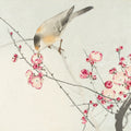 Songbird on Blossom Branch Mural Wallpaper - pure wallpaper artwork