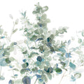 Eucalyptus I Cool Mural Wallpaper - pure wallpaper artwork