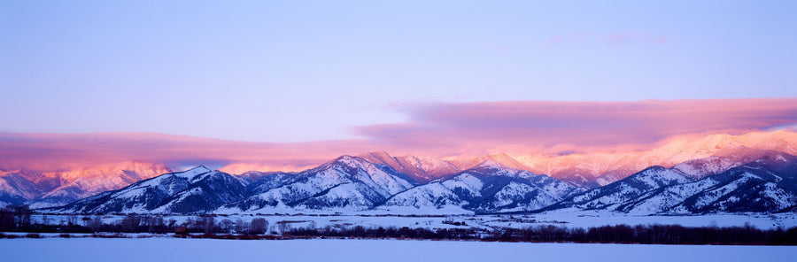Alpine Blush Mural Wallpaper