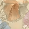 Etheral Orchids Mural Wallpaper - pure wallpaper artwork