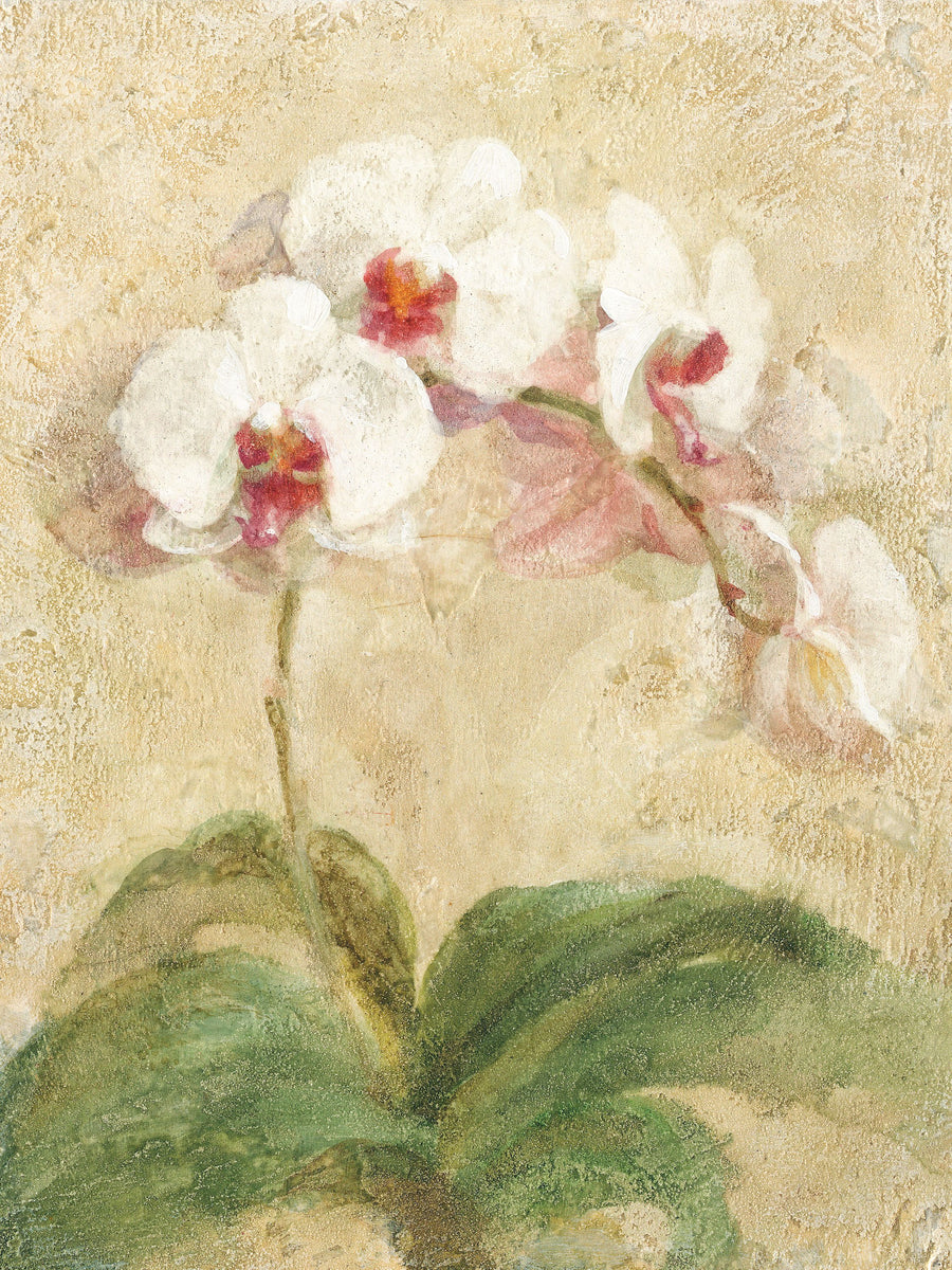 Dreamy Orchids I Mural Wallpaper