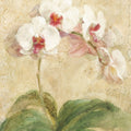 Dreamy Orchids I Mural Wallpaper - pure wallpaper artwork