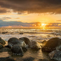 Kauai Sunset Mural Wallpaper - pure wallpaper artwork