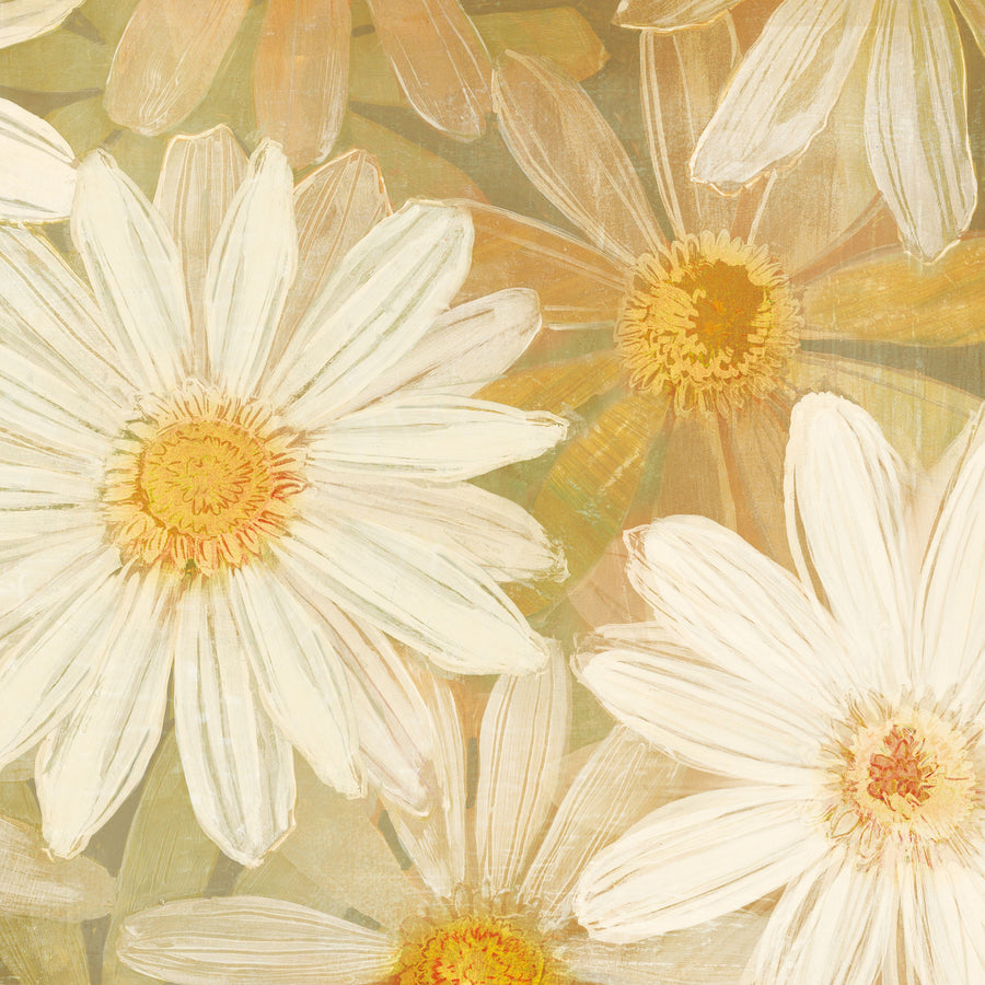 Daisy Story Square II Mural Wallpaper
