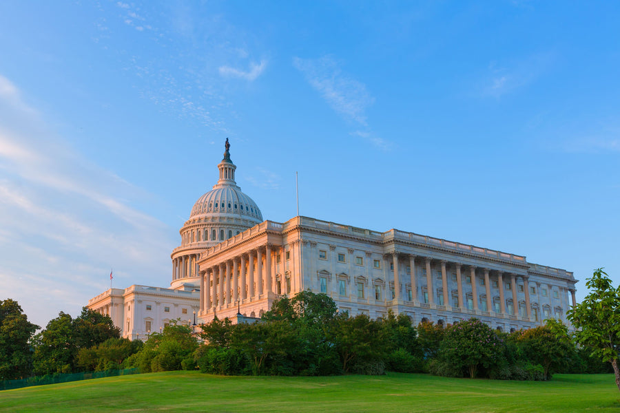 Capitol Building Washington DC Mural Wallpaper