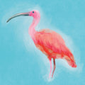 Bright Birds II Mural Wallpaper - pure wallpaper artwork