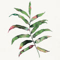 Palm Springs III Mural Wallpaper - pure wallpaper artwork