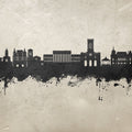 Saint-Étienne France Skyline Concrete Mural Wallpaper - pure wallpaper artwork