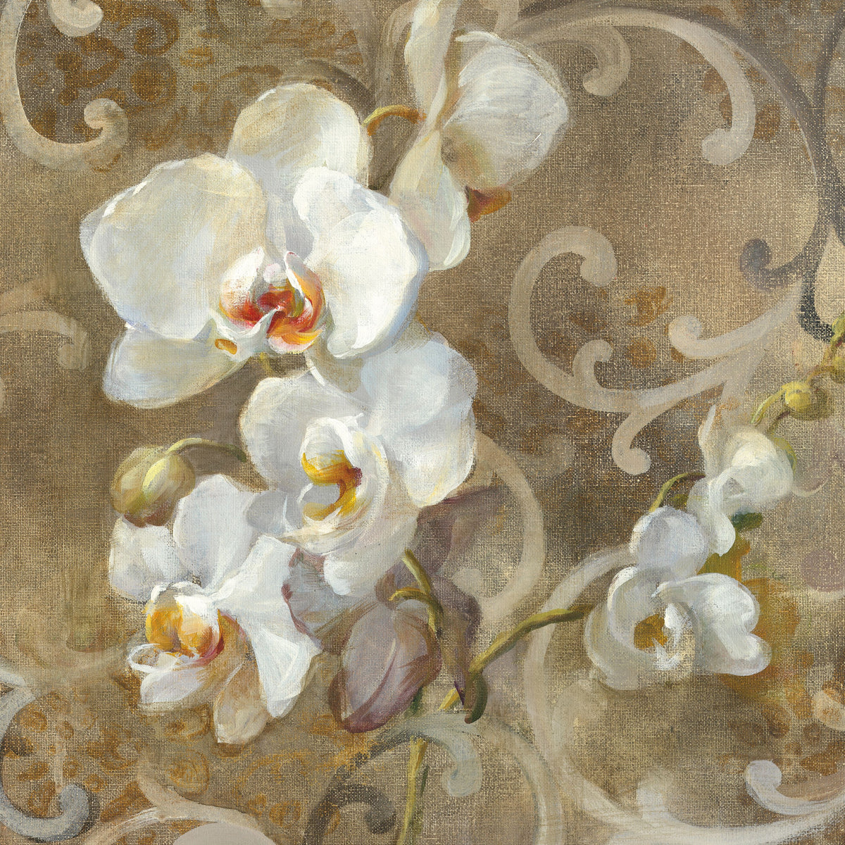 White Orchid Mural Wallpaper - pure wallpaper artwork