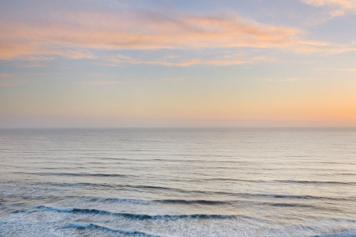Sunset on Redwoods Coast I Mural Wallpaper - pure wallpaper artwork