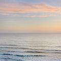 Sunset on Redwoods Coast I Mural Wallpaper - pure wallpaper artwork