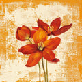 Jewel Flower VIII Mural Wallpaper - pure wallpaper artwork