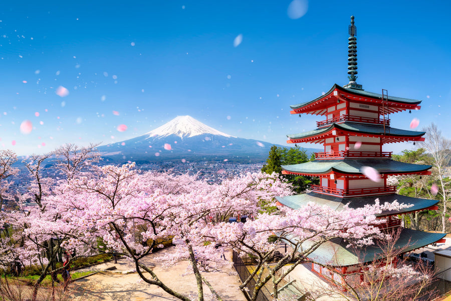 Chureito Pagoda Mural Wallpaper