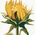 September Sunflowers I Mural Wallpaper - pure wallpaper artwork