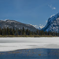 Vermillion Lakes Mural Wallpaper - pure wallpaper artwork