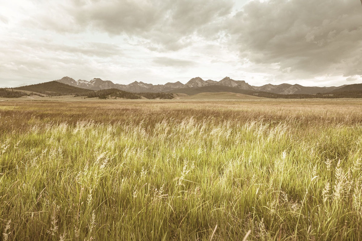 Sawtooth Mountains Panorama Mural Wallpaper - pure wallpaper artwork