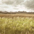 Sawtooth Mountains Panorama Mural Wallpaper - pure wallpaper artwork