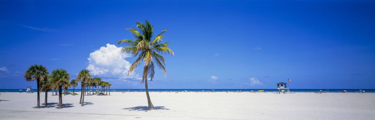 Palm Coast Paradise Mural Wallpaper - pure wallpaper artwork