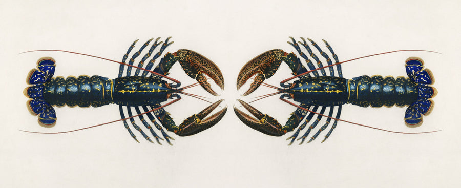 Crimson Crawfish Extravaganza Mural Wallpaper