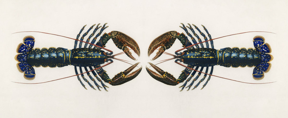 Crimson Crawfish Extravaganza Mural Wallpaper - pure wallpaper artwork