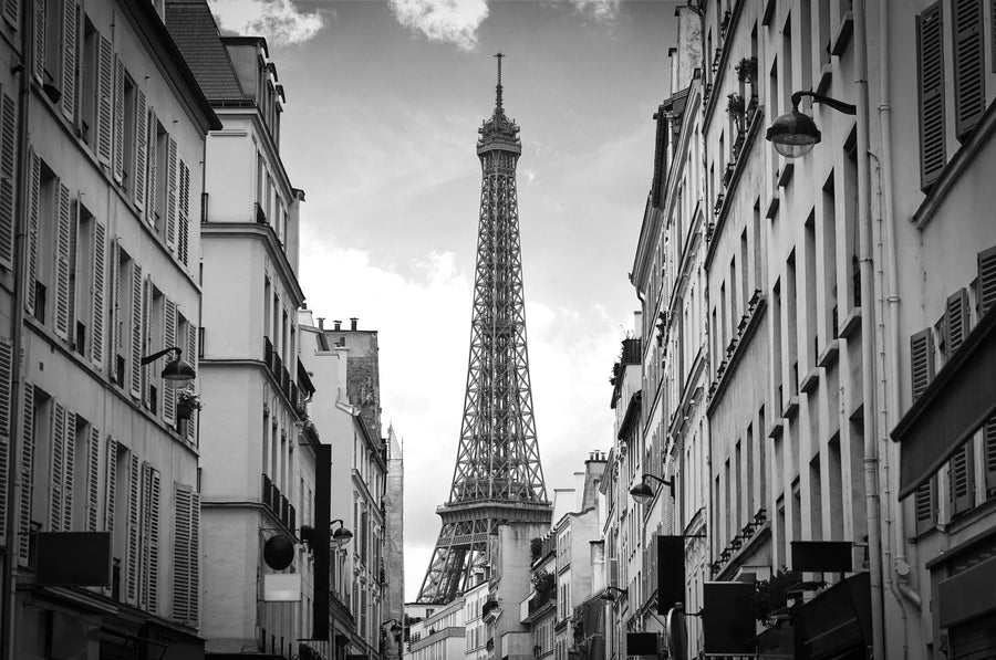 Eiffel Tower in Paris, Black & White Mural Wallpaper