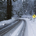 Winter Forest Journey Mural Wallpaper - pure wallpaper artwork