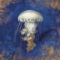 Treasures From the Sea Indigo II Mural Wallpaper - pure wallpaper artwork
