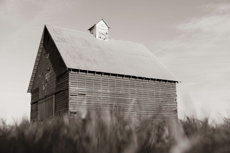 End of the Field BW Mural Wallpaper