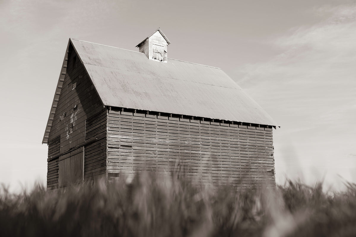 End of the Field BW Mural Wallpaper - pure wallpaper artwork