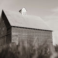 End of the Field BW Mural Wallpaper - pure wallpaper artwork