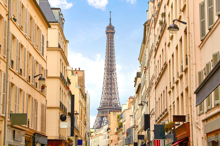 Eiffel Tower in Paris From Invalides Mural Wallpaper