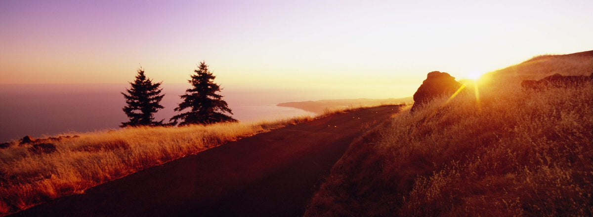 Coastal Sunset Path Mural Wallpaper - pure wallpaper artwork